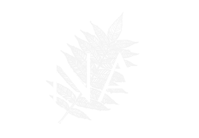 ANASI
