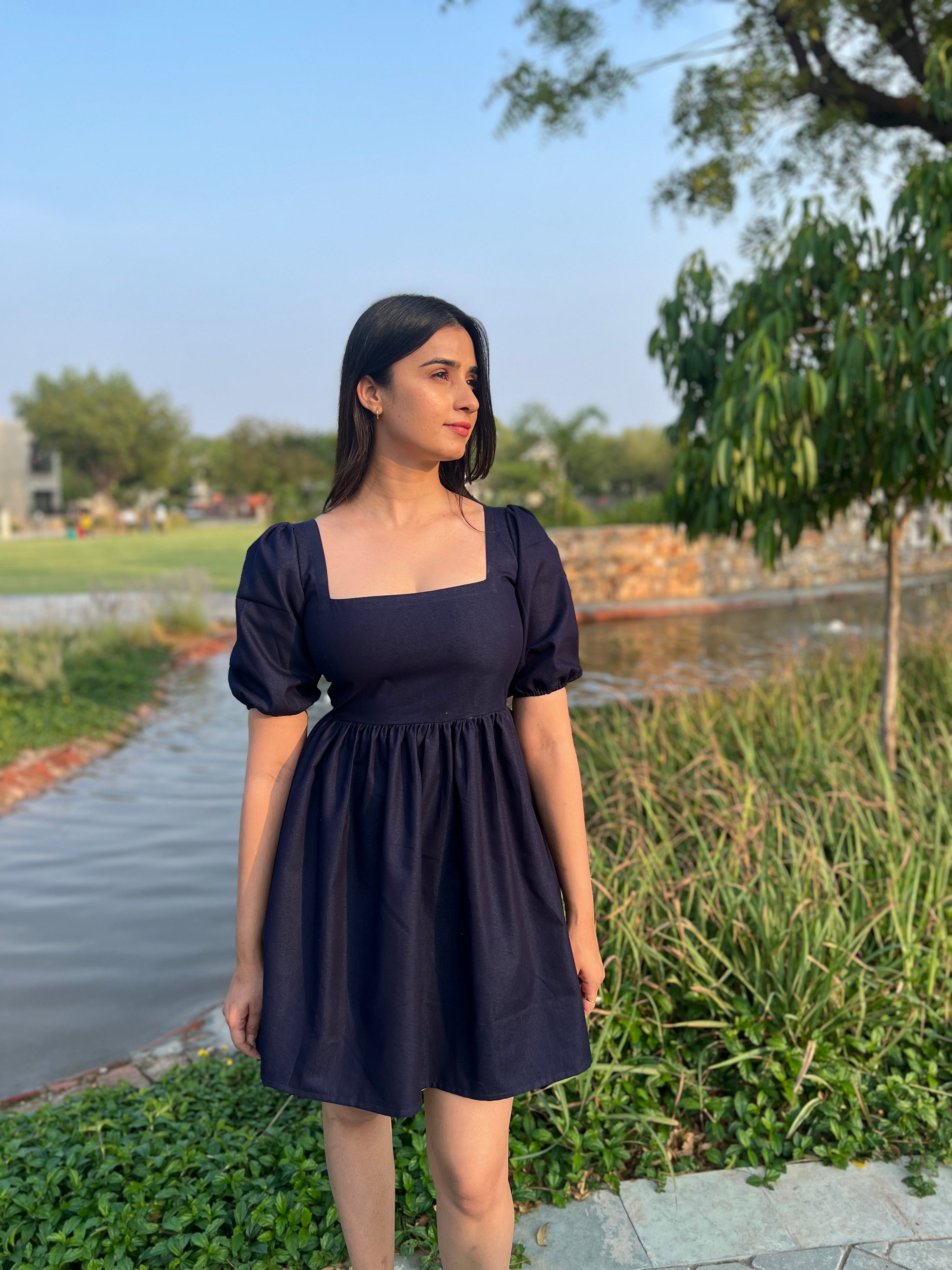 Denise Skater Dress